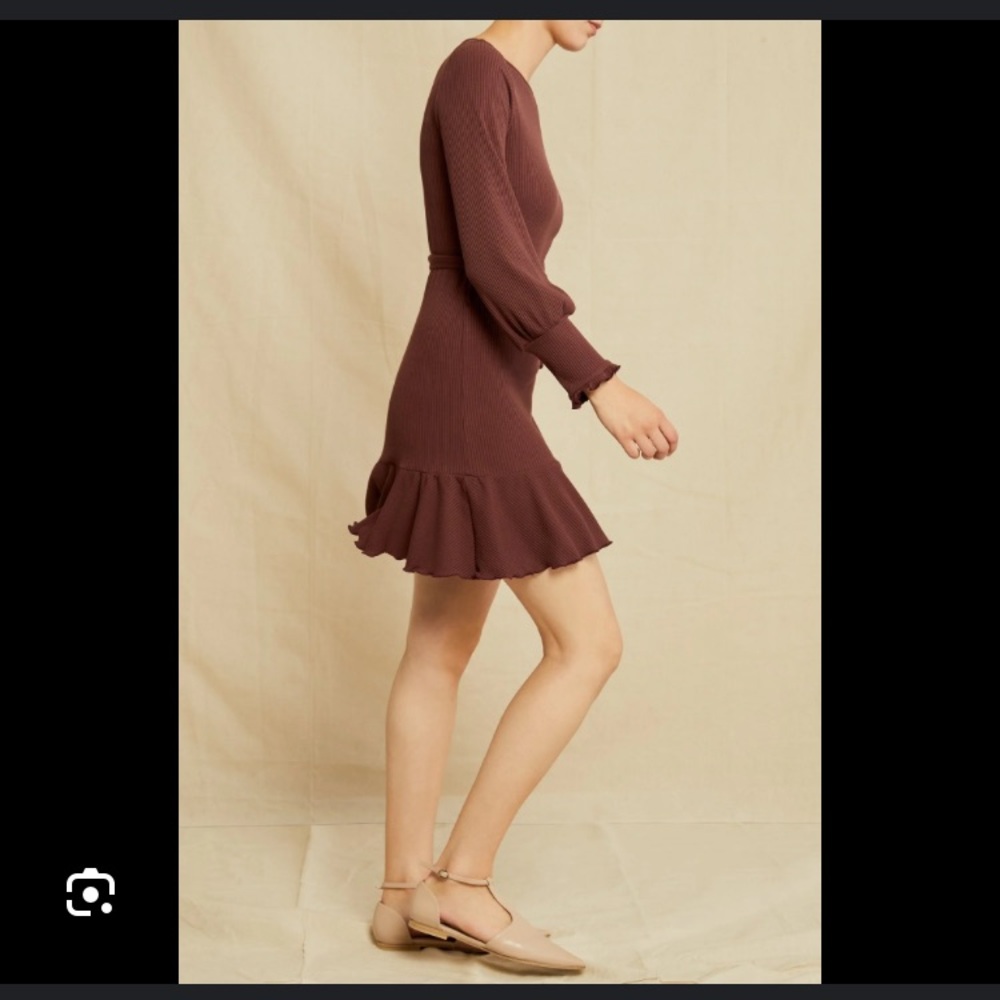 Amour Vert Ziggy Paris Rib Dress in Mocha - Picture 7 of 10
